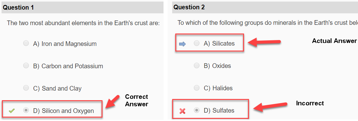 Screenshot showing example questions in D2L with feedback marked