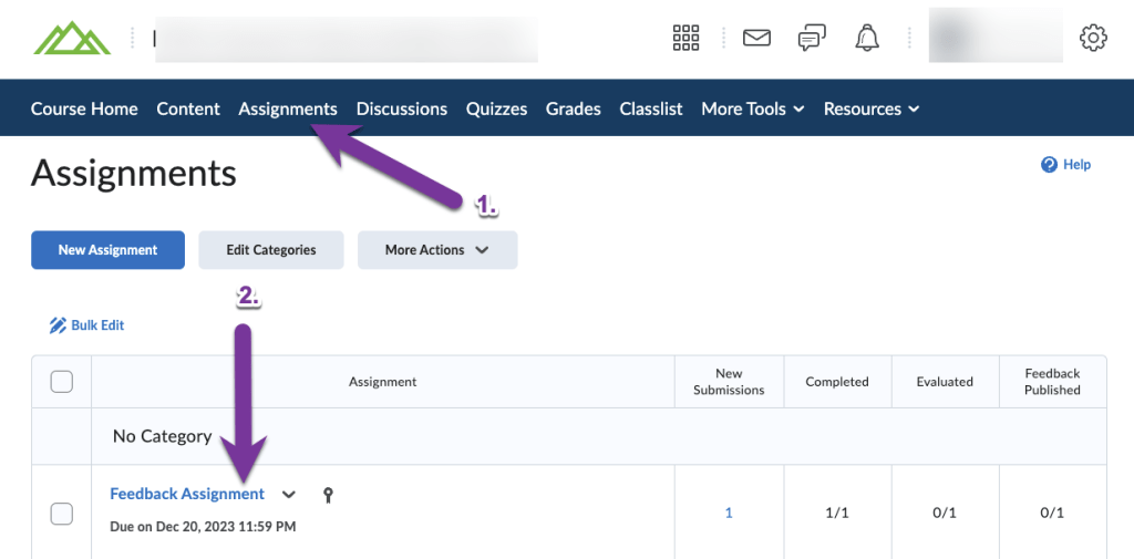 clicked on assignments and an assignment title is highlighted