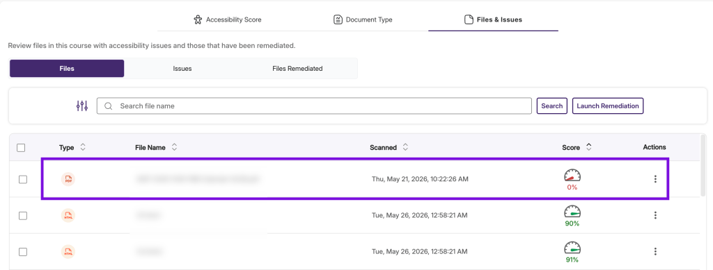 screenshot of accessibility file with score in panorama dashboard