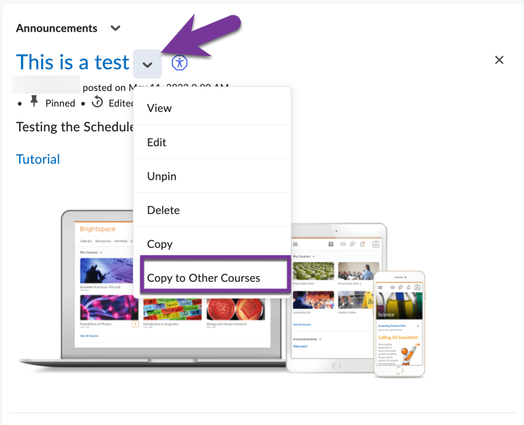 screenshot of copy to other courses menu option