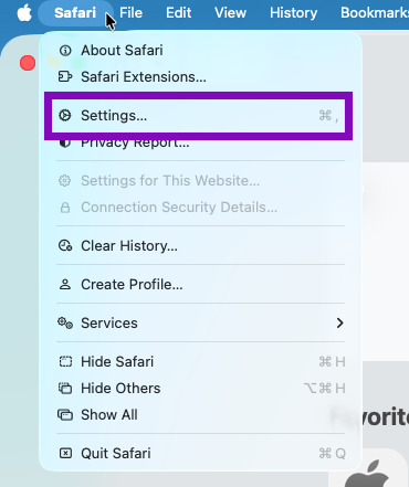 safari menu with settings highlighted