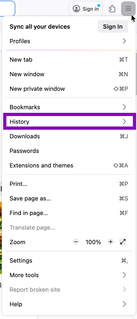 screenshot of firefox menu with History selected